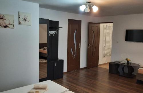 Toplita House | Casa Truța