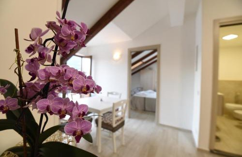 Bomerano Apartment | Casa Vacanze Andromeda