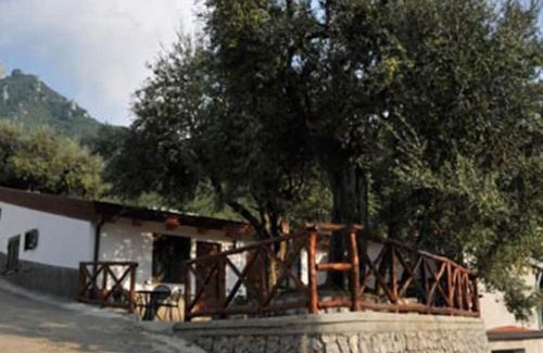 Pucara Apartment | Casa Vacanze Dalisa Ulivo A con parcheggio