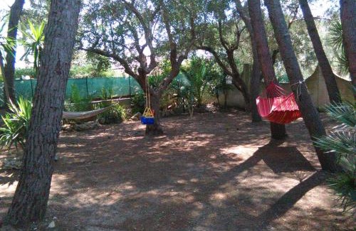 Matino House | Casa Vacanze La Pineta