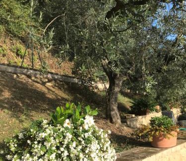 Montefalco House | Casa Vacanze Vecciano