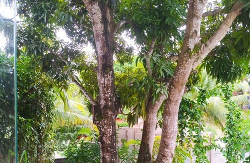 Jacuipe Cottage | Casa Verde Paz , Natureza e Silêncio, Perto da Praias, Longe da Confusão
