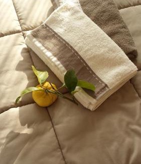 Marina di Massa Hotel | Casa Versilia Hotel