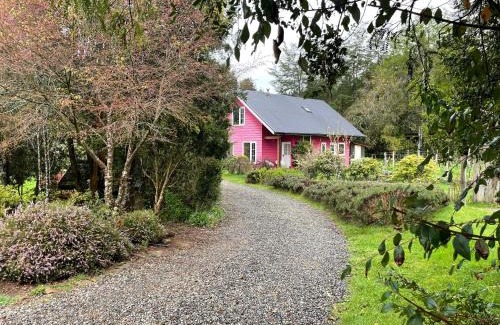 Valdivia House | Casa Viña