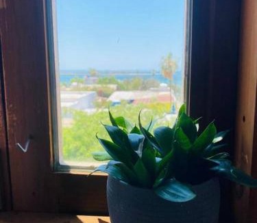 Esterito Apartment | Casa Victoria Vista al mar 2 blocks Malecon with Rooftop