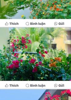 Cam Ha Apartment | Casa Villa Hoi An - View sông lãng mạn, hồ bơi riêng