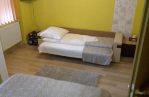 Sighisoara House | Casa VIO