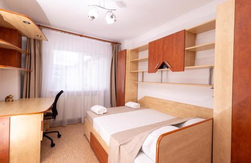 Curtea De Arges Apartment | Casa Walter City Center - 4 Rooms and Private Parking