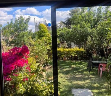 De Guadalupe House | Casa79sancris