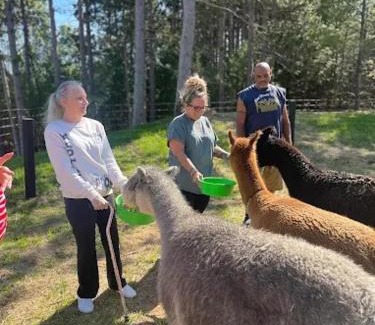 Wisconsin Dells Hotel | Casacampo Alpaca Ranch