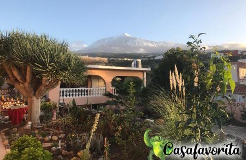 Icod de los Vinos Apartment | Casafavorita - Meer- und Teideblick für Zwei