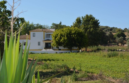 Setubal Cottage | Casal dos Cantos Poente