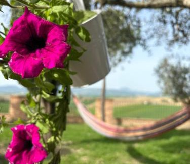 Filottrano House | Casale Monte Amato