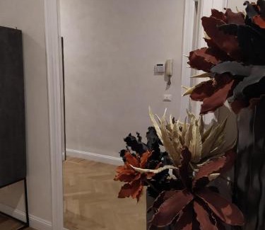 Salario House | CasaLeone