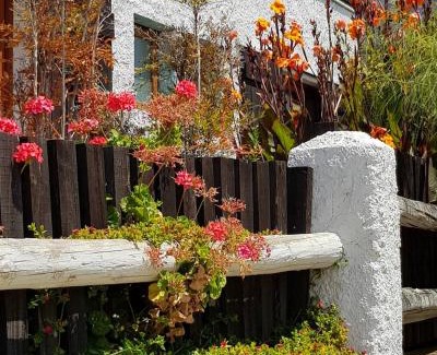Papudo House | Casapapudo Boutique Suites