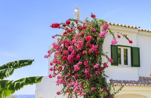 Vale do Lobo Villa | CASAS DA PRAIA, 005