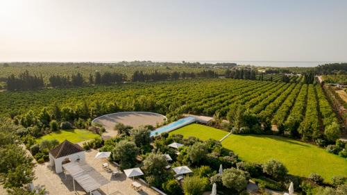 Quinta da Ria House | Casas da Quinta de Cima