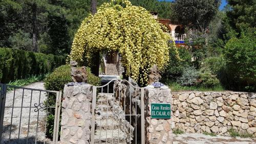 Riopar House | Casas el Calar del Rio Mundo