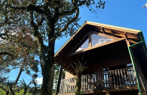 Vacas Gordas House | Casas Rainha da Serra - Cozinha, Fogo de Chão e Churrasqueira