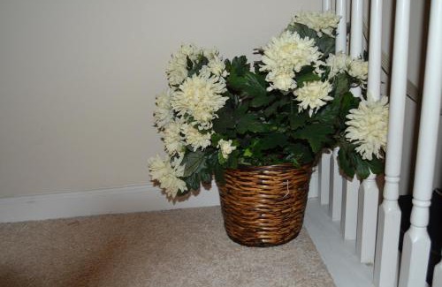 Southwestern House | Cascade Comfort