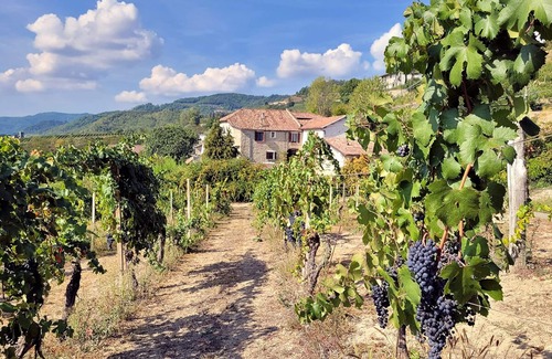 Cessole House | Cascina Marenco Langhe Country House Moscato