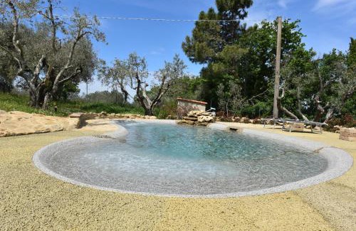 Montescudaio House | CASE&COLLINE Villetta Anita
