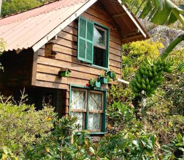 Pantano do Sul House | Casinha Charmosa