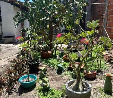 Tutoia House | Casinha da vovó