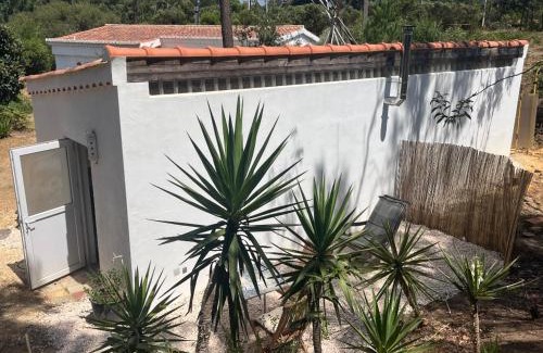 Azia House | Casinha Ninho da Mãe