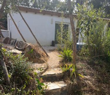 Azia House | Casinha Ninho da Mãe