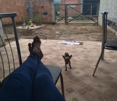 Itinga House | Casinha Rosinha
