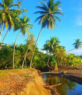 Drake Bay Apartment | Casita Colibri Playa Rincon Bahia Drake