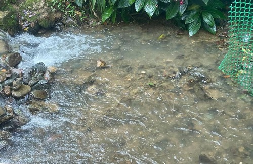 Constanza Villa | Casita del Rio, Constanza. Republica Dominicana