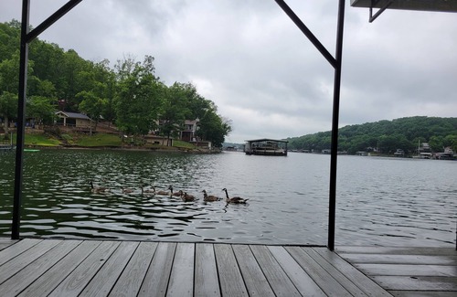 Rocky Mount House | Casita Lindy 3 bedroom waterfront home prime fishing and swimming Rocky Mount