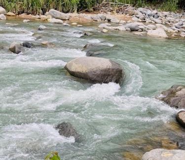 Ballena Cabin | Casitas Del Rio Riverfront Nature Lodge