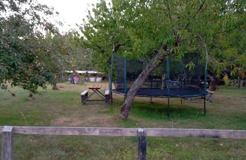 Villarrica House | Castaños de Pedregoso