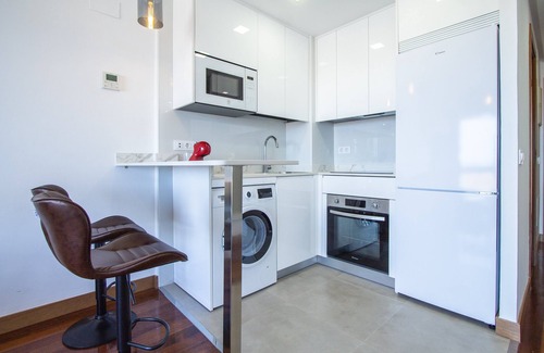 Castillejos Apartment | CASTELLANA PARKING 1 BEDROOM - 02