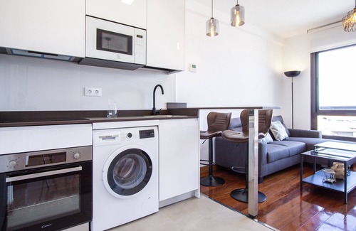 Almenara Apartment | CASTELLANA PARKING 1 BEDROOM - 01