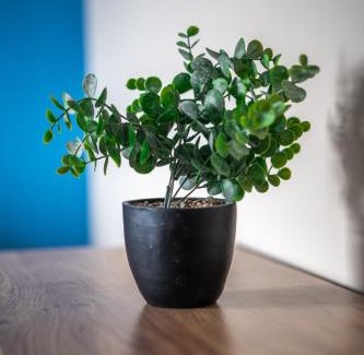Glasgow Apartment | Castlefern House