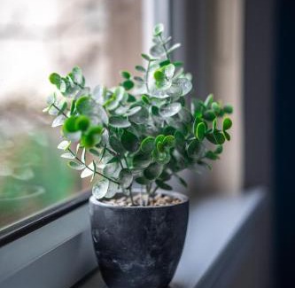 Glasgow Apartment | Castlefern House