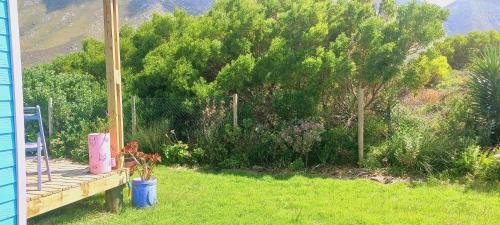 Betty's Bay Apartment | Cat Nap Cottage