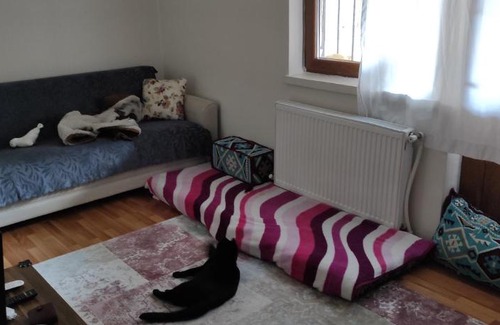 Yenimahalle Bed & Breakfast | Cat's Home