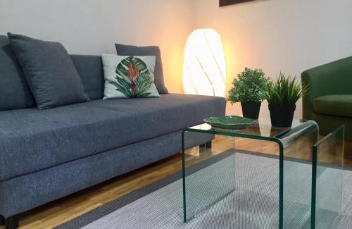 Ourense Apartment | Catedral Centro Histórico