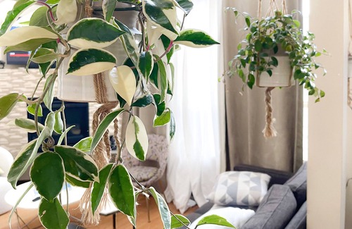 Portland House | Cathedral Townhouse, So much light!