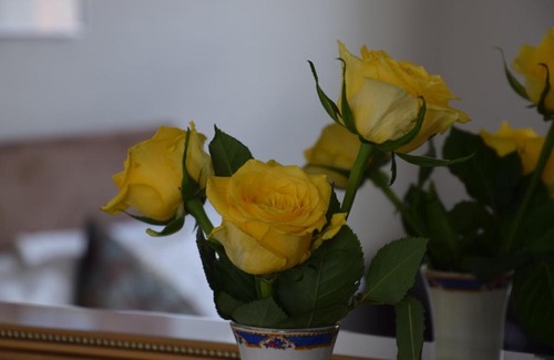 Salisbury Bed & Breakfast | Cathedral View B & B