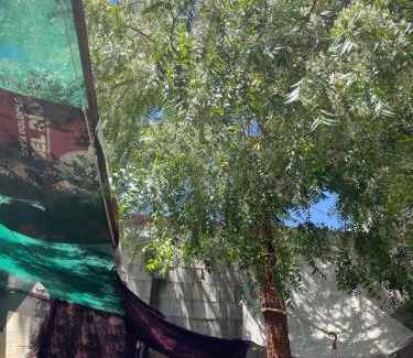 Hermosillo Apartment | Cativa77