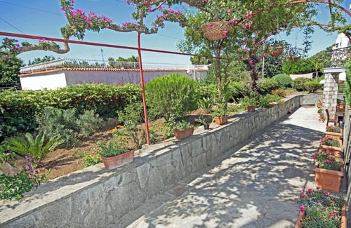 Anacapri Bed & Breakfast | Cavalluccio Marino