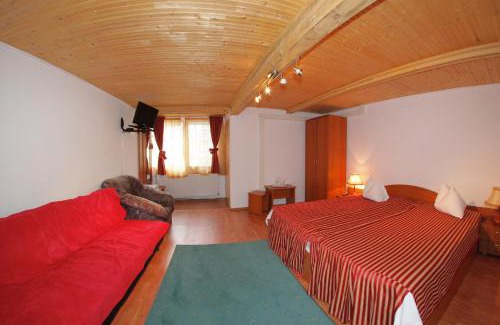 Busteni House | Cazare Casa Cristina