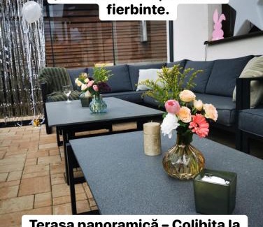 Colibita House | Cazare Colibița Casa Lipan cu jacuzzi, foișor și loc de joacă