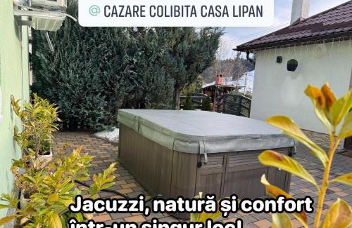 Colibita House | Cazare Colibița Casa Lipan cu jacuzzi, foișor și loc de joacă